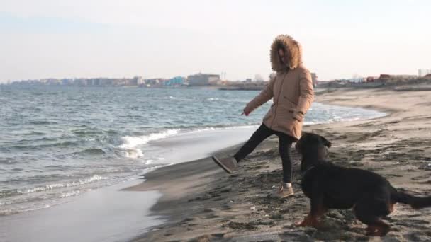 Die Gastgeberin im Sakko trainiert ihren Hund der Rasse Rottweiler an einem Sandstrand am Meer — Stockvideo