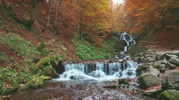 秋天森林里美丽的瀑布之锅特写 — 图库视频影像