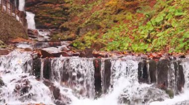 Güzel Şelale gemisi sonbahar ormanında yakın planda.