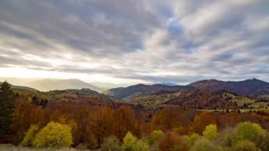 Dağlık arazide büyük dağlara karşı renkli sonbahar ağaçları yetişir.