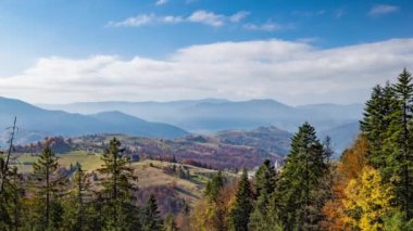 Dağlık vadi ve dağlara karşı kozalaklı ağaçlar.