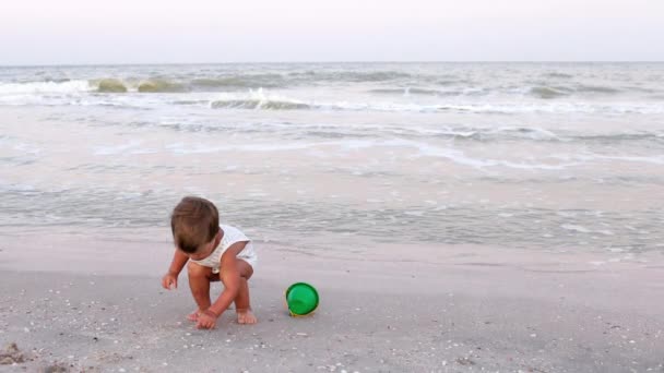 子供は休暇で夏の太陽の下で砂浜の底に貝殻や小石を収集します — ストック動画