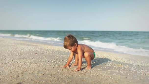 Ungen samlar snäckor och småsten i havet på en sandbotten under sommarsolen på semester — Stockvideo