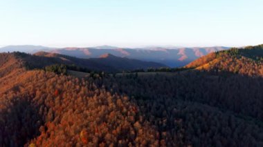 Sonbahar ormanlarında gündoğumunda ağaçlı dağlık araziler