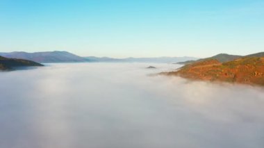 Sis tabakasıyla kaplı renkli ağaçlarla kaplı dağlar.