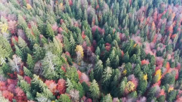 Гірський хребет з теракотовими лісами під хмарним небом — стокове відео