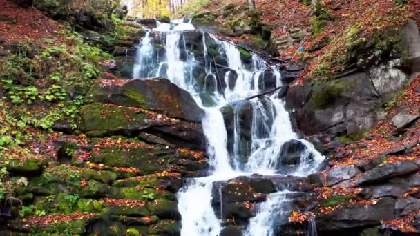Узкий ручей, падающий с склона горы в осеннем лесу — стоковое видео