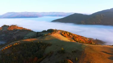 Sis tabakasıyla kaplı renkli ağaçlarla kaplı dağlar.