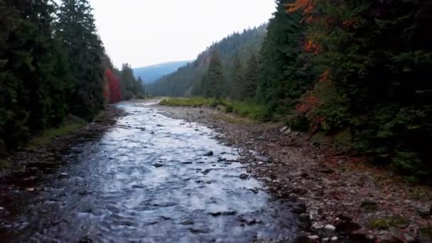 テラコッタの森と山の麓近くの川の急流 — ストック動画