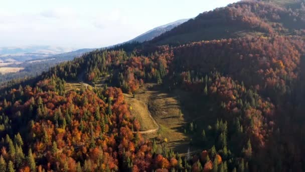 Hooglanden en heuvels met terracota bossen onder de blauwe hemel — Stockvideo