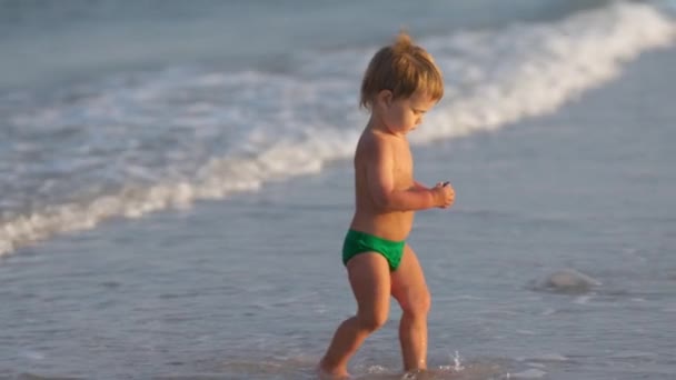 Moeder loopt langs het strand met haar zoon verzamelen van schelpen onder de zomerzon — Stockvideo