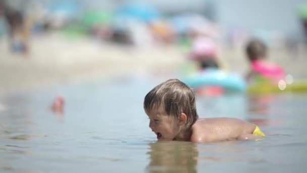 Ребенок собирает раковины и гальку в море на песчаном дне под летним солнцем на отдыхе — стоковое видео