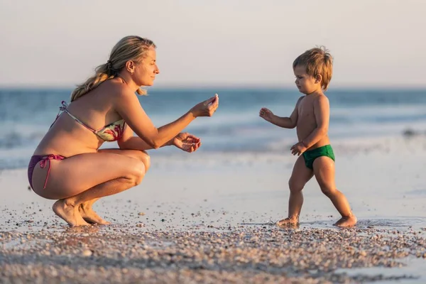 Le gamin recueille des coquillages et des cailloux dans la mer sur un fond sablonneux avec sa mère sous le soleil d'été en vacances — Photo