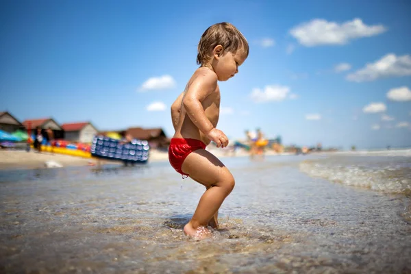 Niño recoge conchas y guijarros en el mar en un fondo arenoso bajo el sol de verano en unas vacaciones — Foto de Stock