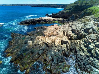 Vahşi bir taş ve kumlu sahil manzarası. Karanlık, nemli deniz kumları ve yansıtıcı yay yakınlarındaki kayalık kayalıklar. Karadeniz, Bulgaristan 'ın parlak, güneşli günbatımı ışığı altında.