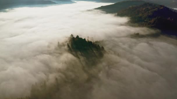 Montañas cubiertas de coloridos bosques y espesa niebla — Vídeos de Stock