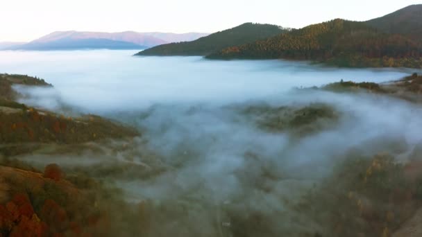 Berg kullar täckta med färgglada skogar och tjock dimma — Stockvideo