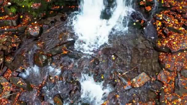 Smala bäcken faller nerför bergssluttningen i höstskogen — Stockvideo