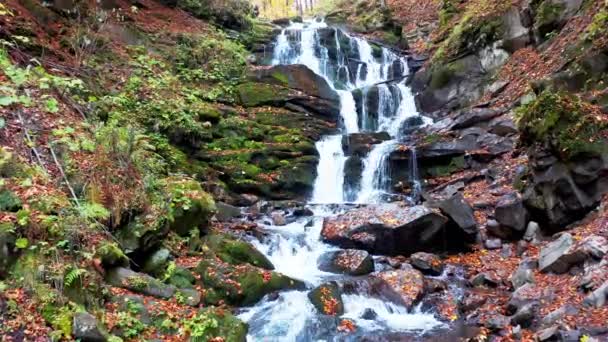 Wąski strumień spada w dół zbocza góry w jesiennym lesie — Wideo stockowe