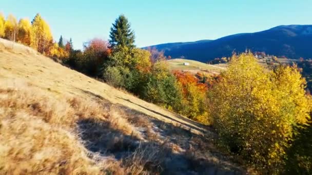 Crinale di montagna con foreste di terracotta sotto cielo nuvoloso — Video Stock