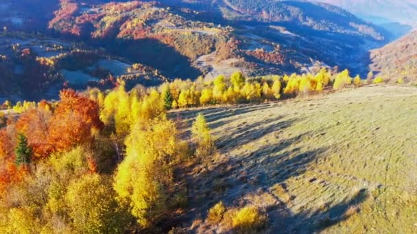 Höga bergstoppar med gulnad skog under stark sol — Stockvideo
