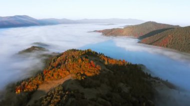 Dağ tepeleri renkli ormanlar ve yoğun sis ile kaplı.