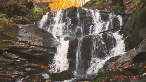 Vattenfall faller nerför bergssluttningen i höstskogen — Stockvideo