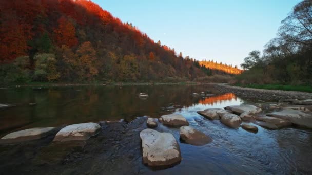 Slider τηγάνι αργή κίνηση βίντεο, ποτάμια ορμητικά με δάση φθινόπωρο στις όχθες — Αρχείο Βίντεο