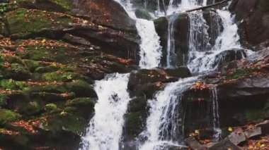 Şelale sonbahar ormanında dağ yamacından aşağı düşüyor.
