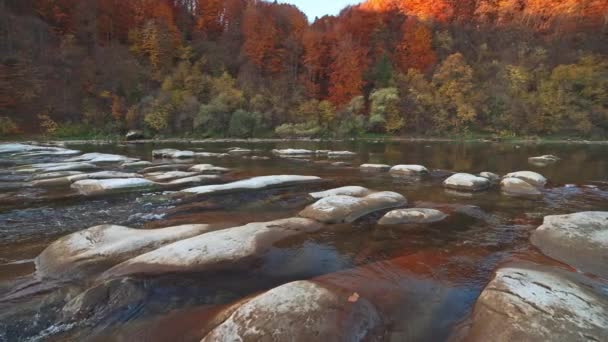 Slider pan slow motion video, rivier stroomversnellingen met herfst bossen op de oevers — Stockvideo