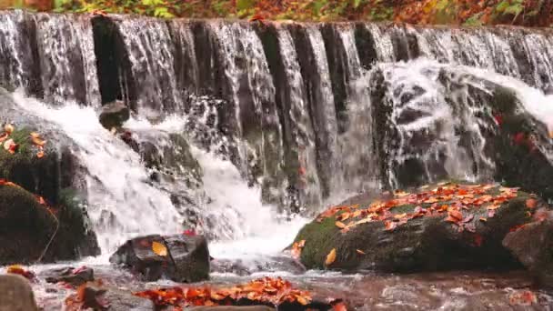 Prachtige waterval Shipot close-up in het najaarsbos — Stockvideo