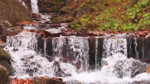 Prachtige waterval Shipot close-up in het najaarsbos — Stockvideo