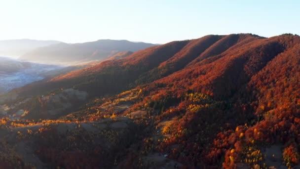 해 가 뜨는 가을 숲 이 있는 고산 지대 — 비디오