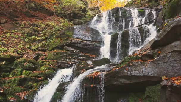 秋の森の中の山の斜面に落ちる滝 — ストック動画