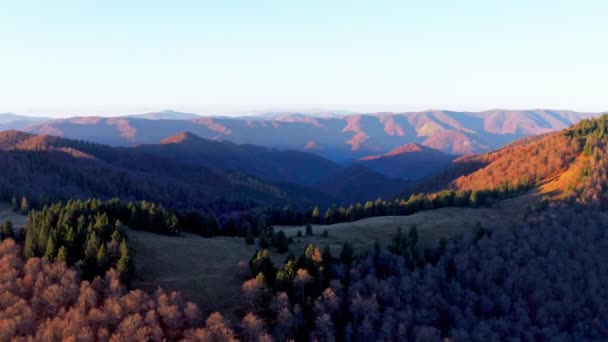 Vuorten ylängöt puiden kanssa syksyllä metsä auringonnousun aikaan — kuvapankkivideo