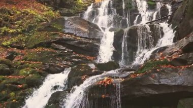 Şelale sonbahar ormanında dağ yamacından aşağı düşüyor.