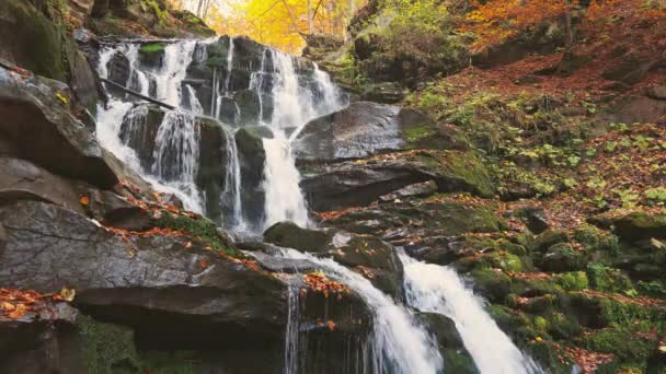 Wodospad spadający z zbocza góry w jesiennym lesie — Wideo stockowe