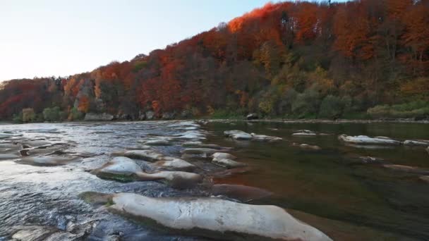 Slider pan slow motion video, rivier stroomversnellingen met herfst bossen op de oevers — Stockvideo