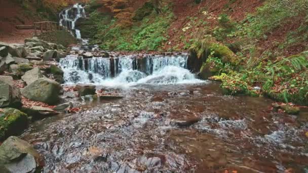 Красивий водоспад Шипот крупним планом в осінньому лісі — стокове відео