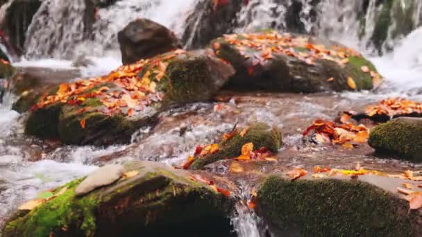 Grote rotsblokken begroeid met mos bij de waterval — Stockvideo