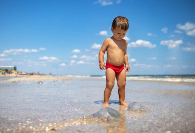 Bir çocuk, parlak yaz güneşinin altında karaya oturmuş bir denizanasını inceliyor.