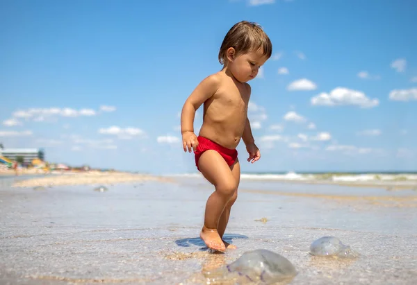 A boy examines a stranded jellyfish under the bright summer sun — Foto de Stock