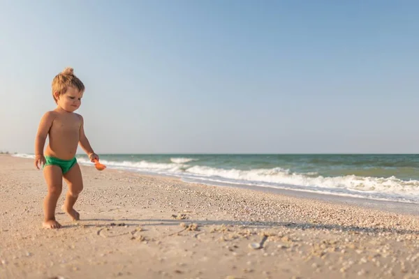 子供は休暇で夏の太陽の下で砂浜の底に貝殻や小石を収集します — ストック写真