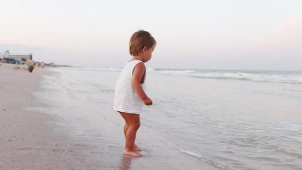 Ребенок собирает раковины и гальку в море на песчаном дне под летним солнцем на отдыхе — стоковое видео