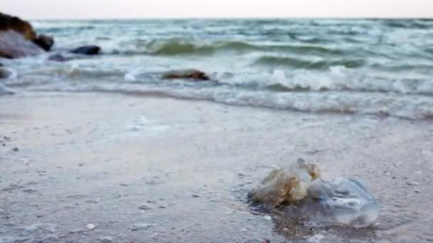 Ölü denizanası Azov Denizi 'nde suyun imzaladığı kumlu bir sahilde uzanıyor.