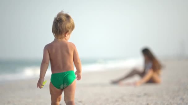 Starší sestra hraje s mladším bratrem na mělčině u pobřeží na letní dovolenou — Stock video