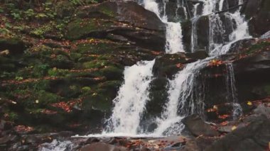 Şelale sonbahar ormanında dağ yamacından aşağı düşüyor.