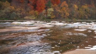 Kaydırıcı yavaş çekim videosu, nehir kıyılarda sonbahar ormanlarıyla birlikte akıntılar