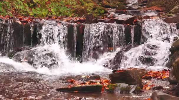 Hermosa Cascada Shipot primer plano en el bosque de otoño — Vídeos de Stock