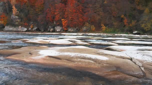 Slider pan video en cámara lenta, rápidos fluviales con bosques de otoño en las orillas — Vídeo de stock